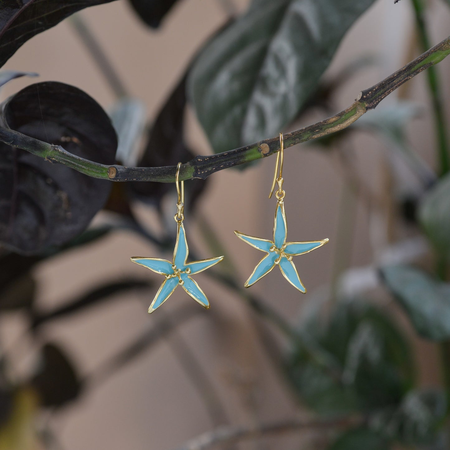 Sea Star - Earrings